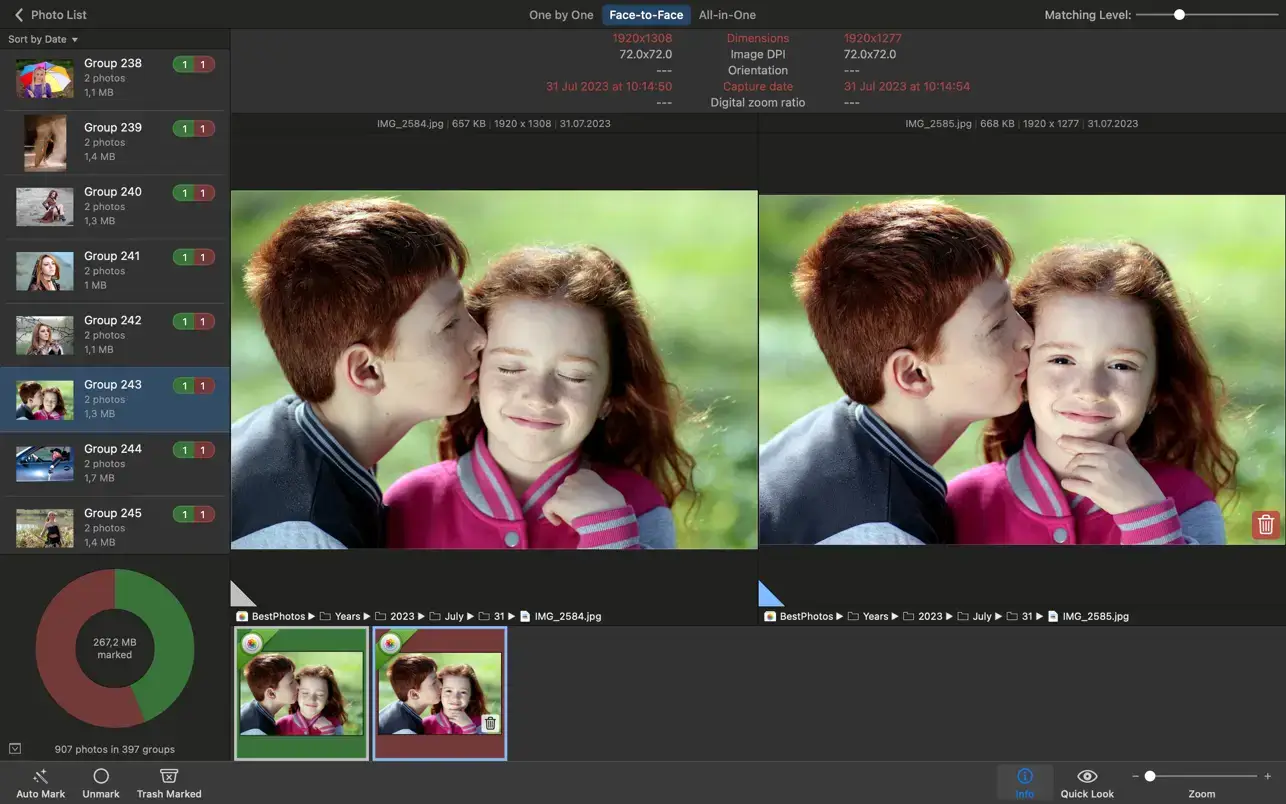 PhotoSweeper X v5.0.4 Mac重复照片清理工具破解版