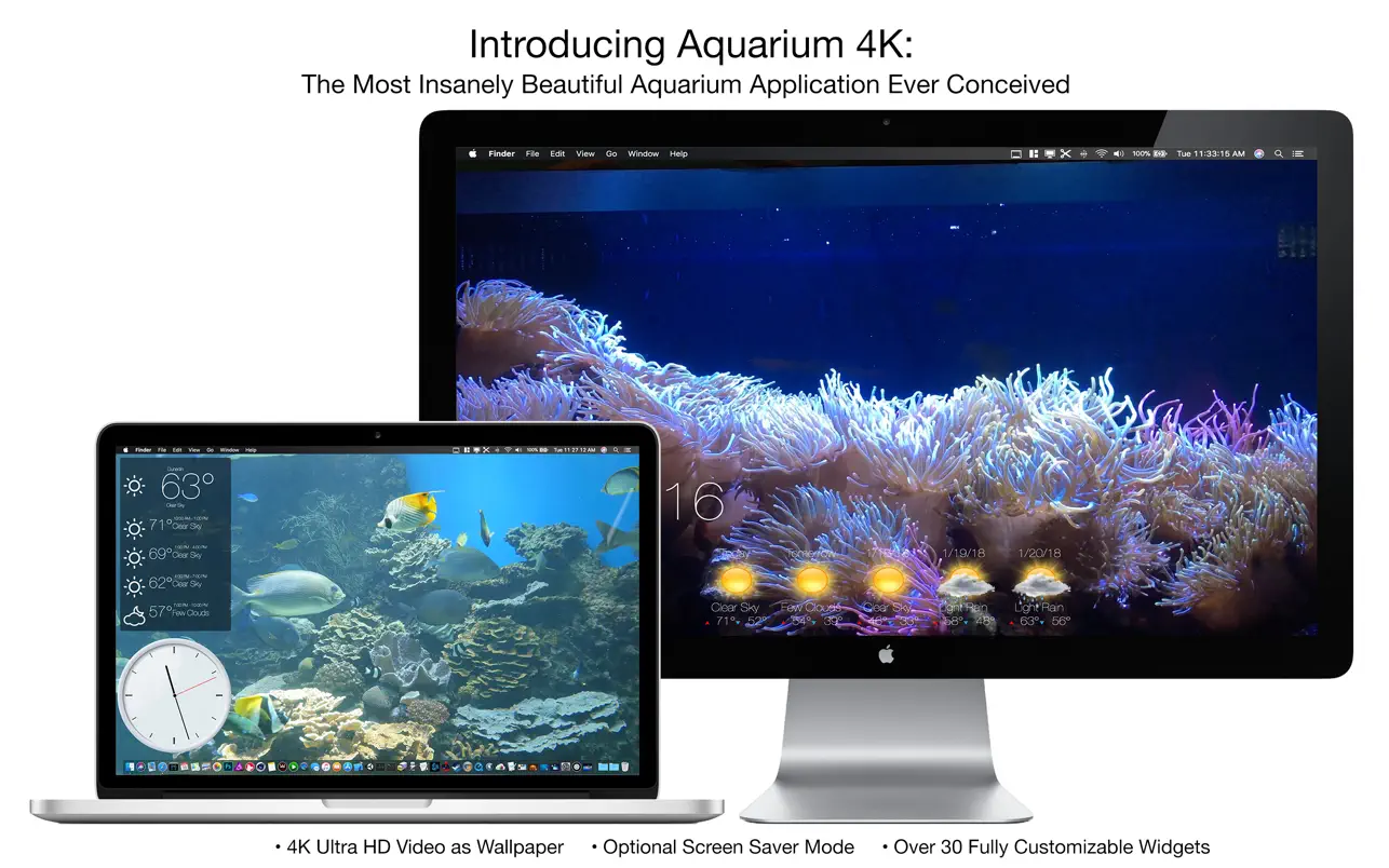 Aquarium 4K - Live Wallpaper v1.1.1 Mac动态壁纸破解版