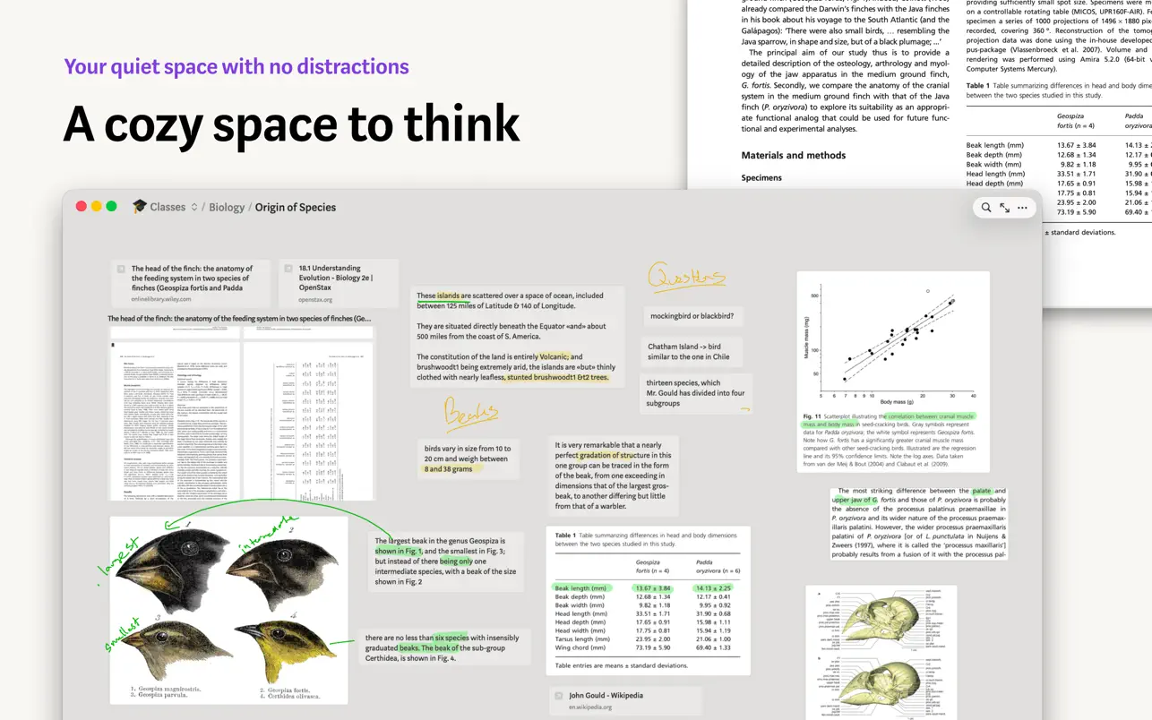 Allume - for focused thinking v4.0.2 Mac视觉化思维工具