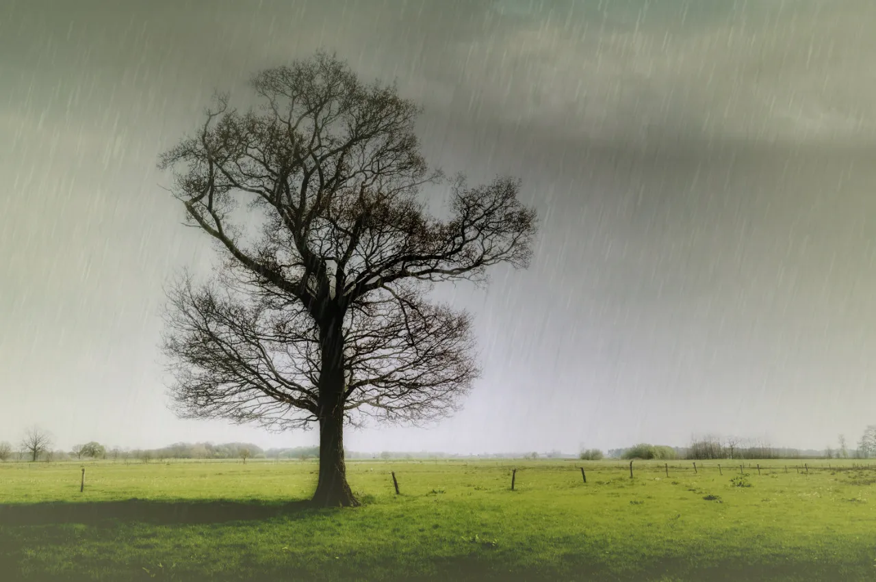 JixiPix Rainy Daze v1.28 Mac雨景艺术效果照片编辑软件